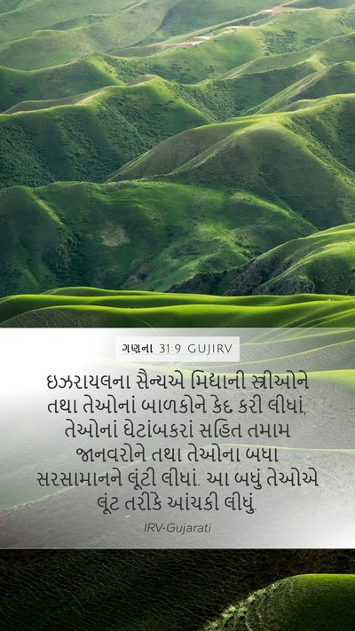 ગણના 31:9 GUJIRV Bible Verse Image