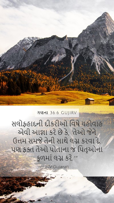 ગણના 36:6 GUJIRV Mobile Phone Wallpaper - સલોફહાદની દીકરીઓ - Mobile Bible Verse Wallpaper
