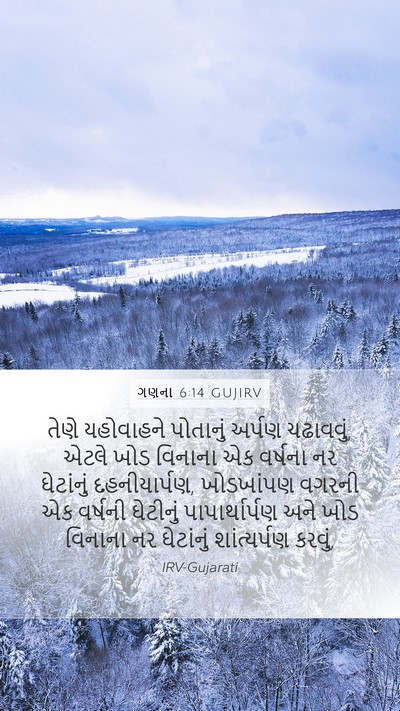 ગણના 6:14 GUJIRV Bible Verse Image
