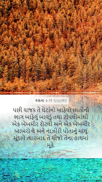 ગણના 6:19 GUJIRV Mobile Phone Wallpaper - પછી યાજક તે - Mobile Bible Verse Wallpaper