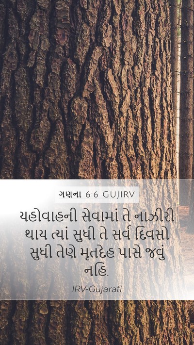 ગણના 6:6 GUJIRV Bible Verse Image