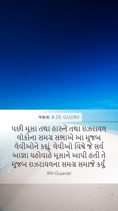 ગણના 8:20 GUJIRV Bible Verse Image