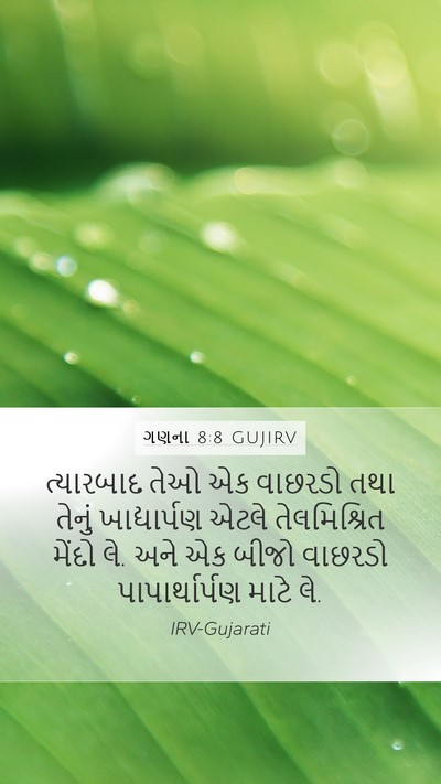 ગણના 8:8 GUJIRV Bible Verse Image