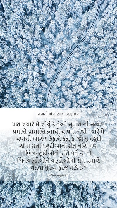 ગલાતીઓને 2:14 GUJIRV Bible Verse Image