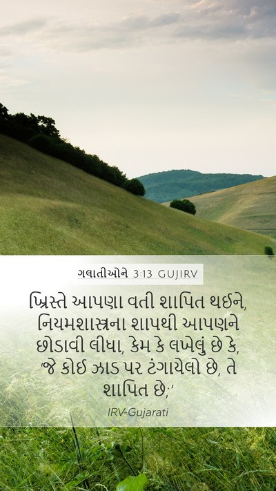 ગલાતીઓને 3:13 GUJIRV Bible Verse Image