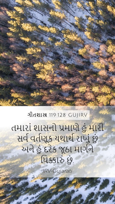 ગીતશાસ્ત્ર 119:128 GUJIRV Bible Verse Image