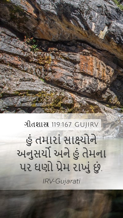 ગીતશાસ્ત્ર 119:167 GUJIRV Bible Verse Image