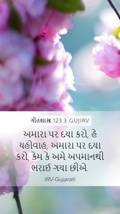 ગીતશાસ્ત્ર 123:3 GUJIRV Bible Verse Image