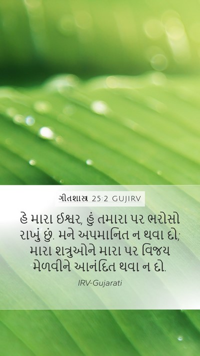 ગીતશાસ્ત્ર 25:2 GUJIRV Bible Verse Image