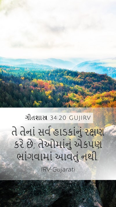 ગીતશાસ્ત્ર 34:20 GUJIRV Bible Verse Image