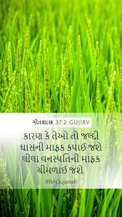 ગીતશાસ્ત્ર 37:2 GUJIRV Bible Verse Image