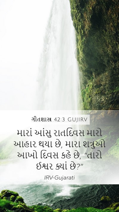 ગીતશાસ્ત્ર 42:3 GUJIRV Bible Verse Image
