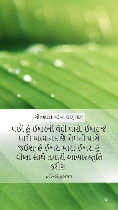 ગીતશાસ્ત્ર 43:4 GUJIRV Bible Verse Image