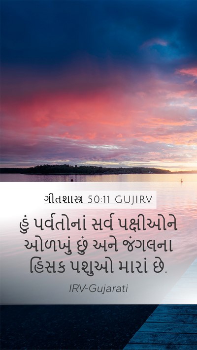 ગીતશાસ્ત્ર 50:11 GUJIRV Mobile Phone Wallpaper - હું પર્વતોનાં - Mobile Bible Verse Wallpaper
