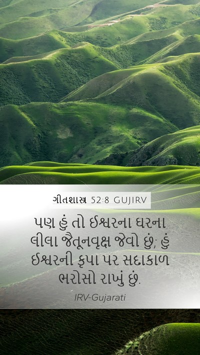 ગીતશાસ્ત્ર 52:8 GUJIRV Bible Verse Image