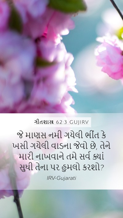 ગીતશાસ્ત્ર 62:3 GUJIRV Bible Verse Image