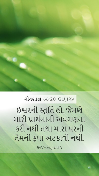 ગીતશાસ્ત્ર 66:20 GUJIRV Mobile Phone Wallpaper - ઈશ્વરની સ્તુતિ હો, - Mobile Bible Verse Wallpaper