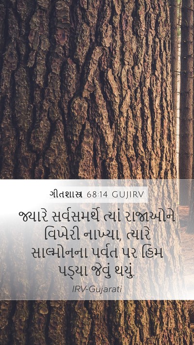 ગીતશાસ્ત્ર 68:14 GUJIRV Mobile Phone Wallpaper - જ્યારે સર્વસમર્થે - Mobile Bible Verse Wallpaper