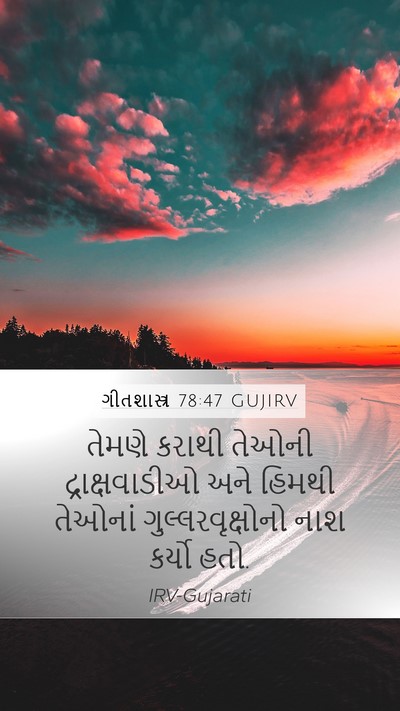 ગીતશાસ્ત્ર 78:47 GUJIRV Bible Verse Image