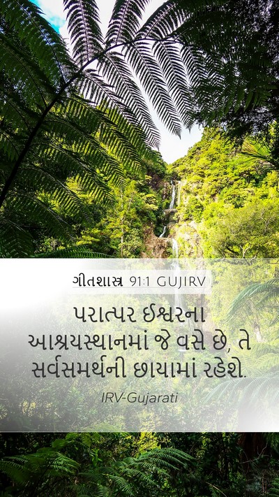 ગીતશાસ્ત્ર 91:1 GUJIRV Bible Verse Image