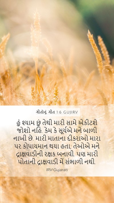 ગીતોનું ગીત 1:6 GUJIRV Bible Verse Image