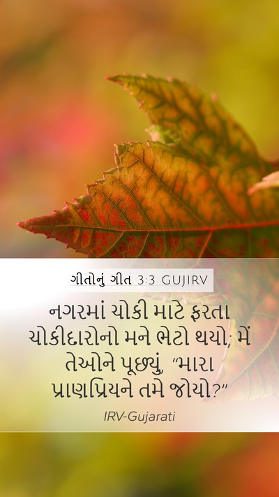 ગીતોનું ગીત 3:3 GUJIRV Bible Verse Image