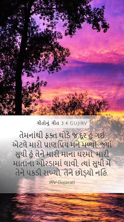 ગીતોનું ગીત 3:4 GUJIRV Bible Verse Image