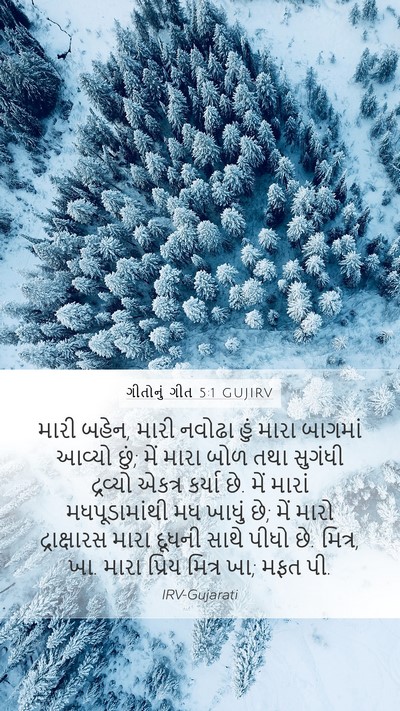 ગીતોનું ગીત 5:1 GUJIRV Bible Verse Image