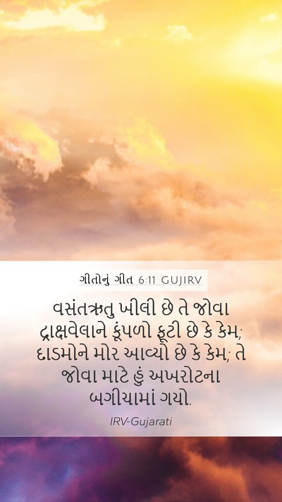 ગીતોનું ગીત 6:11 GUJIRV Bible Verse Image