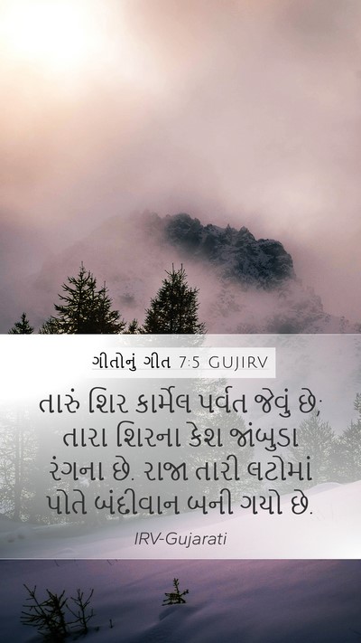 ગીતોનું ગીત 7:5 GUJIRV Bible Verse Image