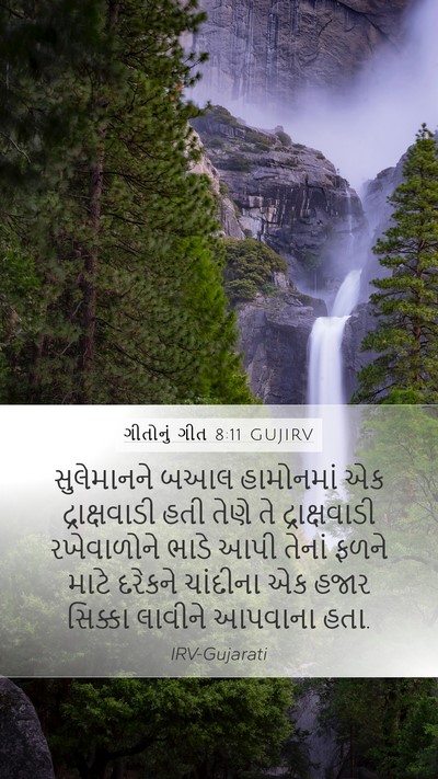 ગીતોનું ગીત 8:11 GUJIRV Bible Verse Image