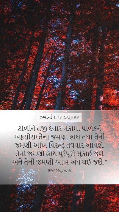 ઝખાર્યા 11:17 GUJIRV Bible Verse Image