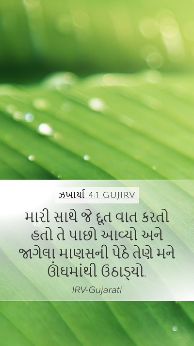 ઝખાર્યા 4:1 GUJIRV Bible Verse Image