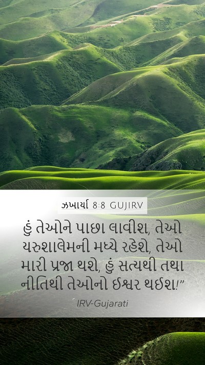 ઝખાર્યા 8:8 GUJIRV Bible Verse Image