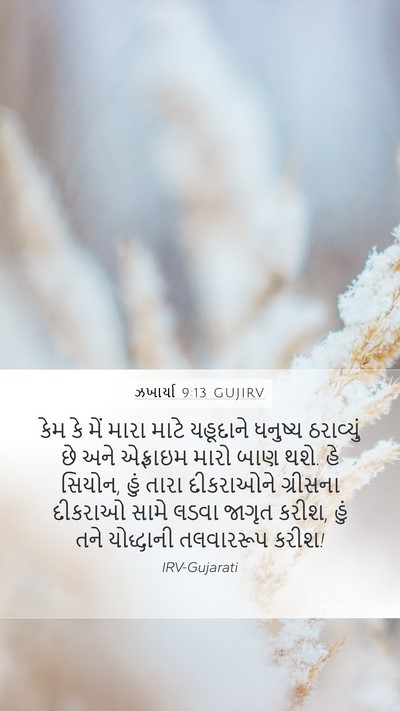 ઝખાર્યા 9:13 GUJIRV Bible Verse Image