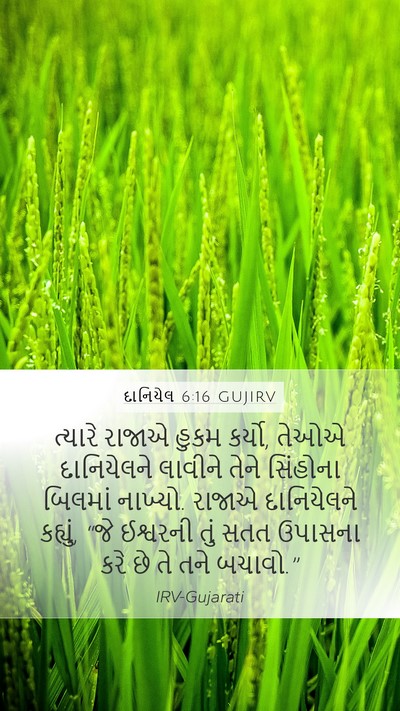 દાનિયેલ 6:16 GUJIRV Bible Verse Image
