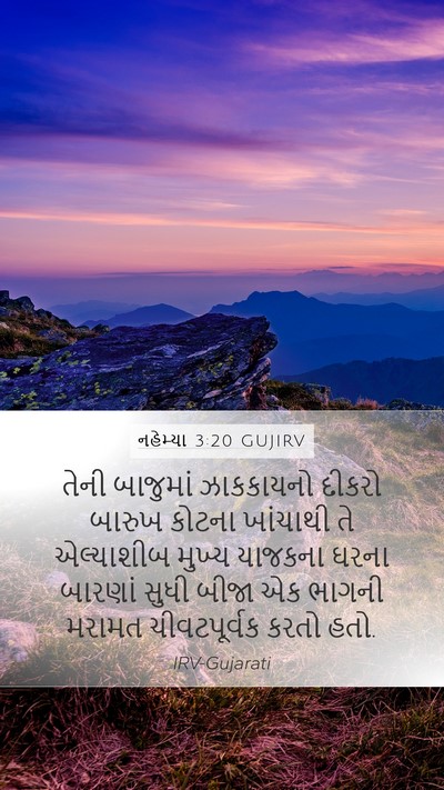નહેમ્યા 3:20 GUJIRV Bible Verse Image