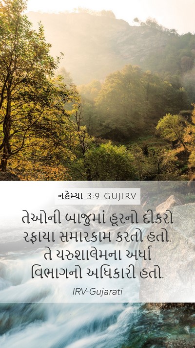 નહેમ્યા 3:9 GUJIRV Bible Verse Image
