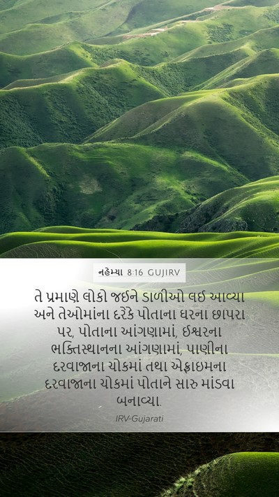 નહેમ્યા 8:16 GUJIRV Bible Verse Image