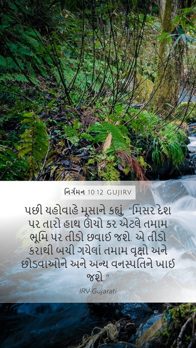 નિર્ગમન 10:12 GUJIRV Bible Verse Image