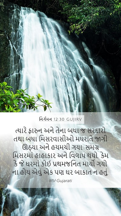 નિર્ગમન 12:30 GUJIRV Bible Verse Image