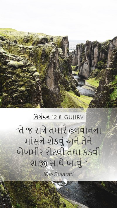 નિર્ગમન 12:8 GUJIRV Bible Verse Image