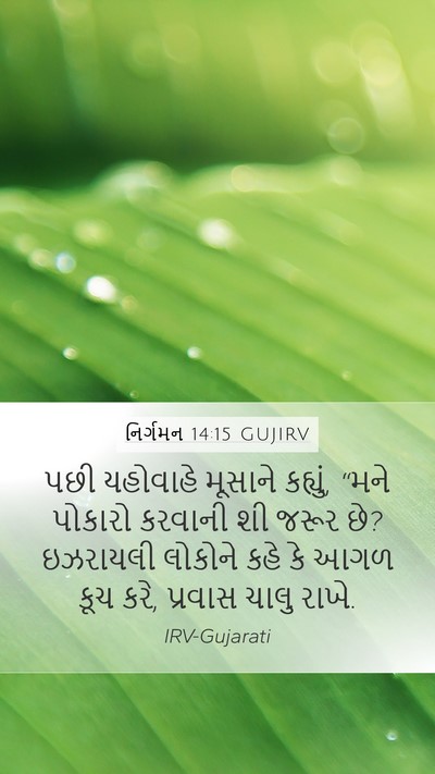 નિર્ગમન 14:15 GUJIRV Bible Verse Image