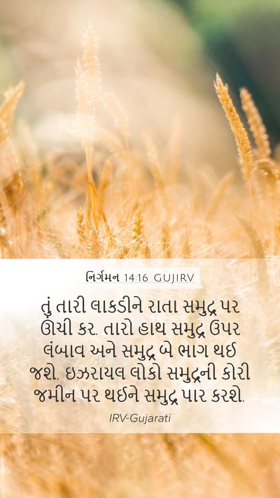 નિર્ગમન 14:16 GUJIRV Bible Verse Image