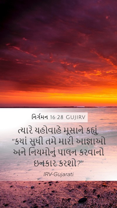 નિર્ગમન 16:28 GUJIRV Bible Verse Image