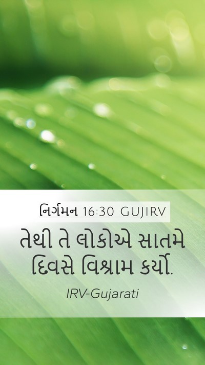 નિર્ગમન 16:30 GUJIRV Mobile Phone Wallpaper - તેથી તે લોકોએ - Mobile Bible Verse Wallpaper