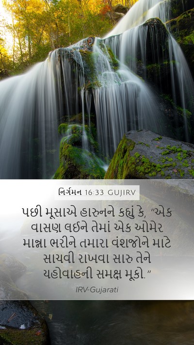 નિર્ગમન 16:33 GUJIRV Bible Verse Image