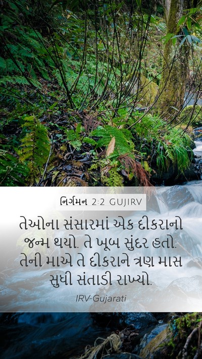 નિર્ગમન 2:2 GUJIRV Bible Verse Image