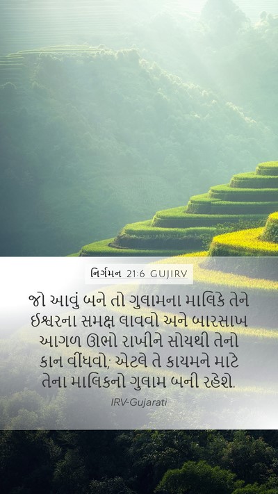 નિર્ગમન 21:6 GUJIRV Bible Verse Image