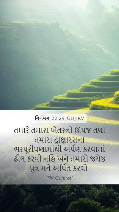 નિર્ગમન 22:29 GUJIRV Bible Verse Image